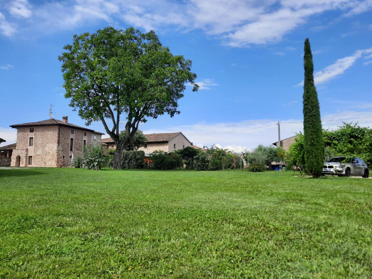 Agroturismo Corte Davini