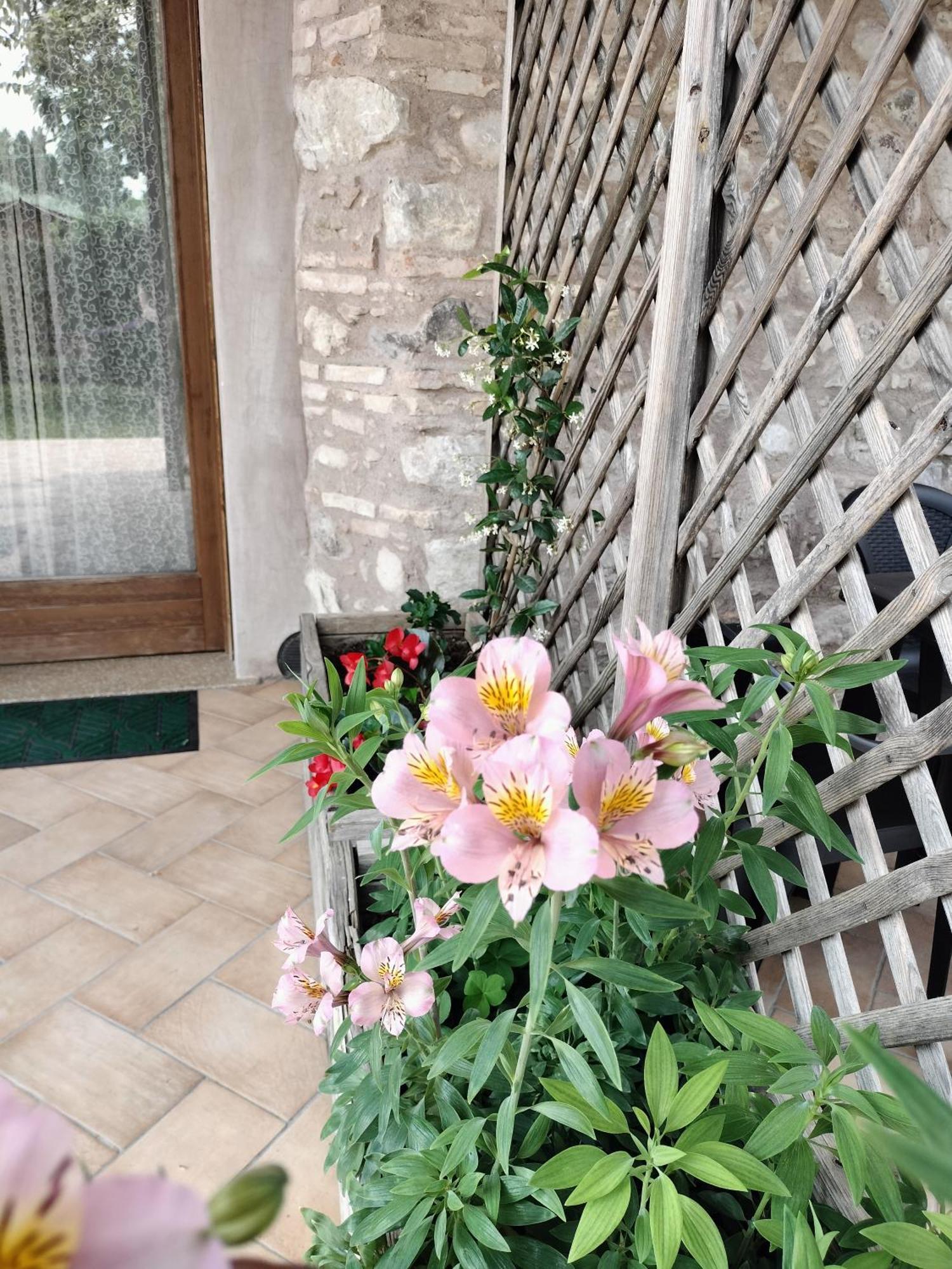 Agroturismo Corte Davini Monzambano