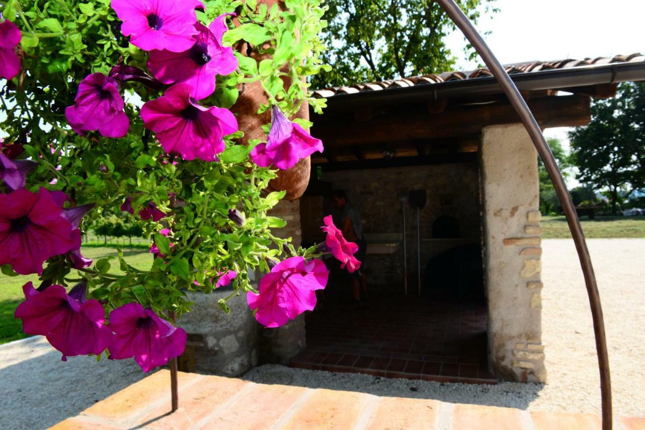 Corte Davini Agroturismo Monzambano