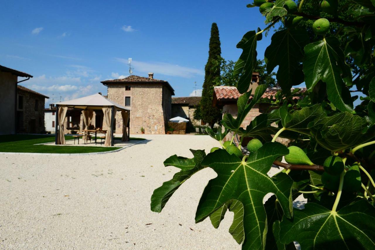Corte Davini Agroturismo *