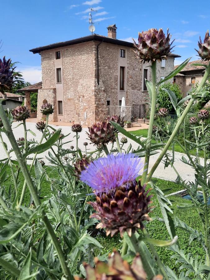 Agroturismo Corte Davini