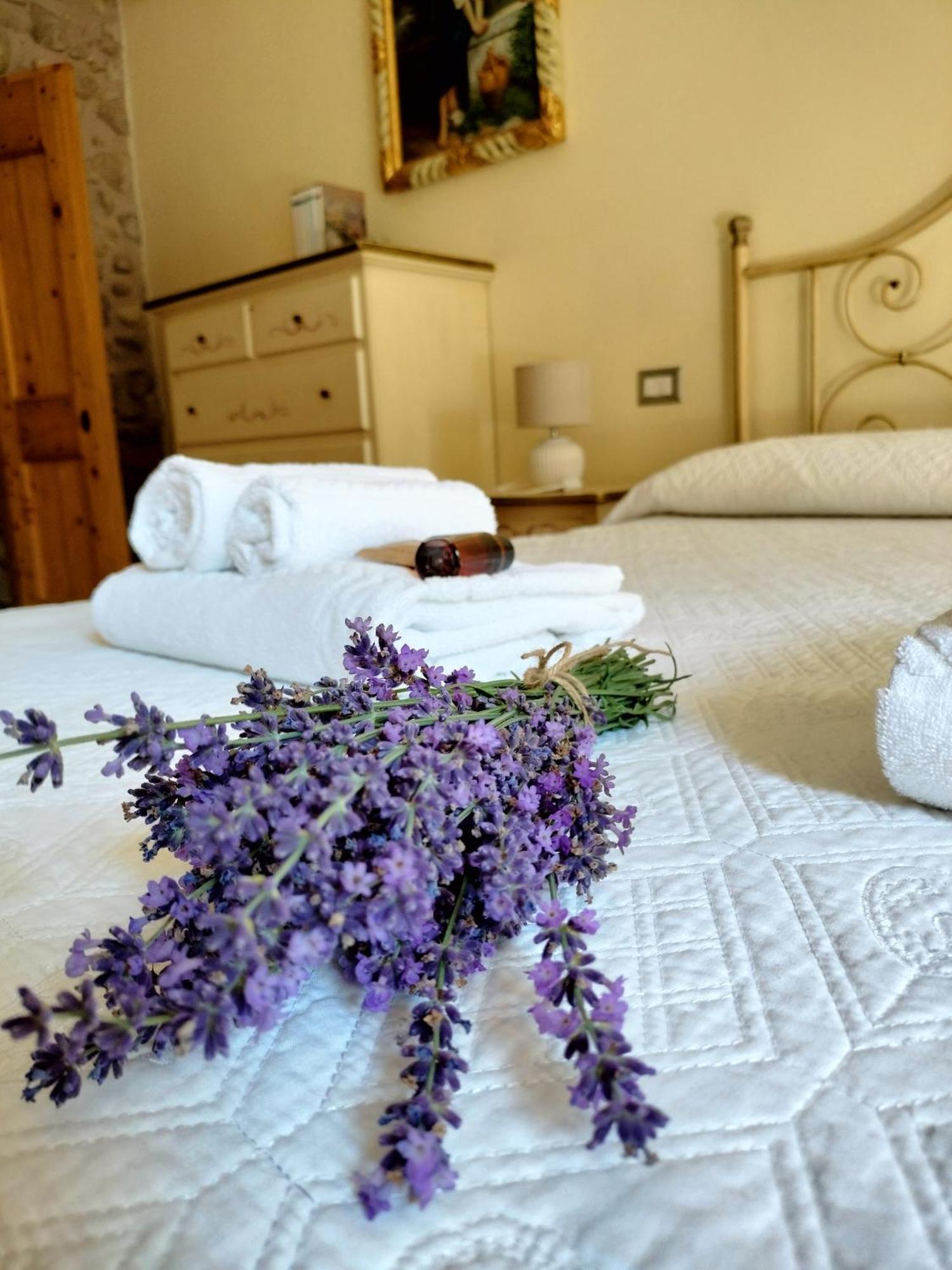 Corte Davini Agroturismo